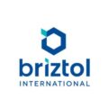 briztol.com